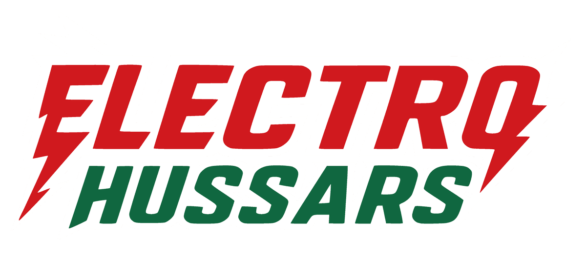 Electro Hussars